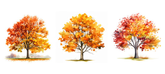 Wall Mural - plant autumn tree watercolor ai generated