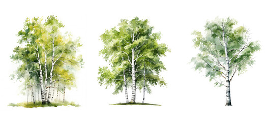 background birch tree watercolor ai generated