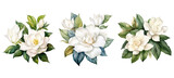 background gardenia flowers watercolor ai generated