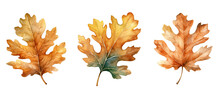 Autumn Oak Leaf Watercolor Ai Generated