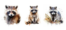 Animal Raccoon Watercolor Ai Generated
