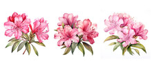 Spring Rhododendron Flowers Watercolor Ai Generated