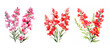 blossom snapdragon flowers watercolor ai generated