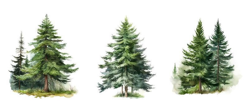 background spruce tree watercolor ai generated