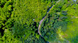 The road passing along the dense green forest in the mountains in early spring. Top view from a drone