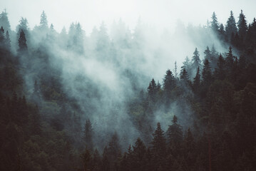 Wall Mural - misty mountain landscape