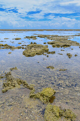 Wall Mural - Landscape from the reefs of Coroa Vermelha beach, tourist destination of Bahia state at Santa Cruz Cabralia, Brazil. 