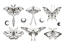 Mystical Celestial Moth And Butterfly Clipart Bundle, Magic Black And White Insects Silhouettes In Vector, Unreal Hand Drawn Night Moth, Isolated Elements Set