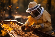 Beekeeper Working With Bees
