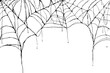 © designedbyyou - Halloween Spider Web.