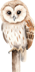 Fototapete - Owl sitting on a branch illustration created with Generative AI technology
