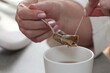 woman's hand squeezes out a bag of tea