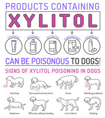 Naklejka na meble Signs of xylitol poisoning in dogs. Editable vector illustration
