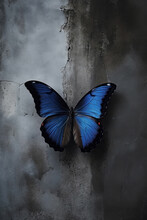 Vibrant Blue Butterfly Isolated On A Old Concrete Wall. Supernatural. 