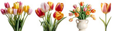 Set Of Colorful Tulips/flowers. Bouquet Of Colorful Tulips In A White Vase. Colorful Tulip Close Up. Isolated On A Transparent Background. KI.