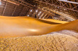 © Юлия Корниевич - View inside a large corn and grain storage warehouse.