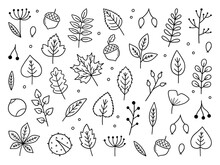 Autumn Leaves And Berries Doodle Set. Hello Autumn Elements: Leaves, Herbs, Chestnut, Acorn In Sketch Style. Hand Drawn Vector Illustration Isolated On White Background