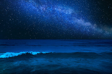 Wall Mural - Amazing starry sky over sea at night