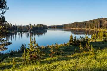 Wall Mural - Beautiful calm water river landscape. Location is Yellowstone NP, Wyoming