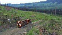 Forestry Economics Unveiled: Logging Truck Moves Harvested Timber