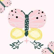 Butterfly On A Pink Background