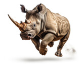 Fototapeta  - a rhinoceros jumping on isolate white background Generative ai