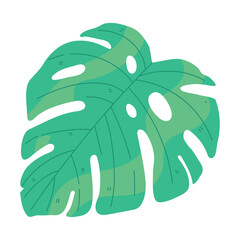 Canvas Print - tropical leaf monstera icon design