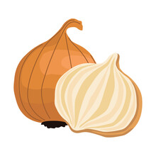 Onion Fresh Vegetable Icon Design
