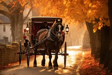 Horse And Carriage At Autumn Park