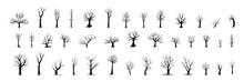 Silhouette Dead Tree Without Leaves Set. Large Collection Scary Trees For Halloween Decoration. Creepy Tree. Vector Illustration.
