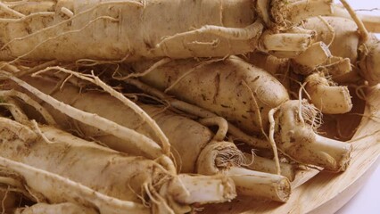 Canvas Print - Close up shot of several Ginseng roots are rotating. Ginseng (Panax ginseng) is very popular and has the ability to treat health problems