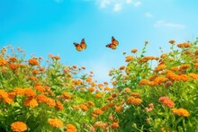 Bright Colorful Summer Spring Flower Border With Butterflies. Natural Landscape With Blue Clear Sky.