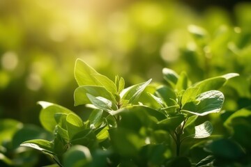 Poster - Natural background with young juicy green foliage