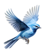 Isolated Realistic Blue Sparrow Bird On White Background - Generative AI 