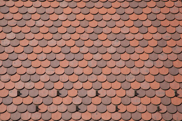 Wall Mural - Roof tiles texture tiles roof seamless pattern background terra cotta