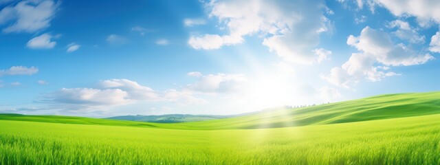 Wall Mural - Natural panoramic landscape with spring meadow with curved horizon line. Field bright juicy green grass against a blue sky with clouds and sun flare