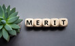 Merit symbol. Concept word Merit on wooden cubes. Beautiful grey background with succulent plant. Business and Merit concept. Copy space.