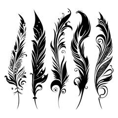 Wall Mural - Five feathers, tribal style, vector graphic on white background