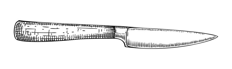 Vintage knife sketch. Cutlery etching vector drawing, vintage kitchen silverware. Hand drawn line art sketch, black and white retro illustration isolated on white background.