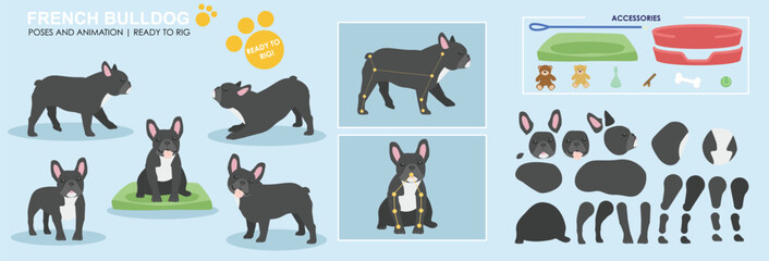 cute black french bull dog vector collection of poses with multiple angles and accessories. puppy sl