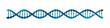Double helix DNA molecule isolated. Molecular genetics and Genetic engineering