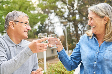 Wall Mural - Cheerful elderly friends toasting glass of water in garden