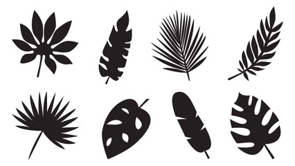 Wall Mural - Collection of exotic palm leaves. Leaf icon set. Vector illustration