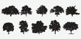 Fototapeta Lawenda - Enchanting Arboreal Silhouettes, Captivating Tree Vector Collection for Every Creative Project