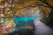 Äste und Zweige in bunten Herbstfarben hängen über einem Holzweg und blauem, klarem Wasser