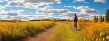 Beautiful Autumn Landscape With A Person On A Bicycle