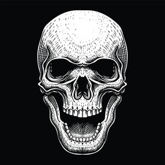 Poster - Skull position facing forward vector illustration for your company or brand