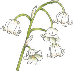 Wall Mural - Cute hand drawn isolated grey outline with color plane of lily of the valley branch (Vol.2)