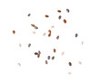 © Montree - chia seed on transparent png
