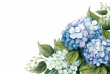 Watercolor hydrangea isolated on white  banner with place for text